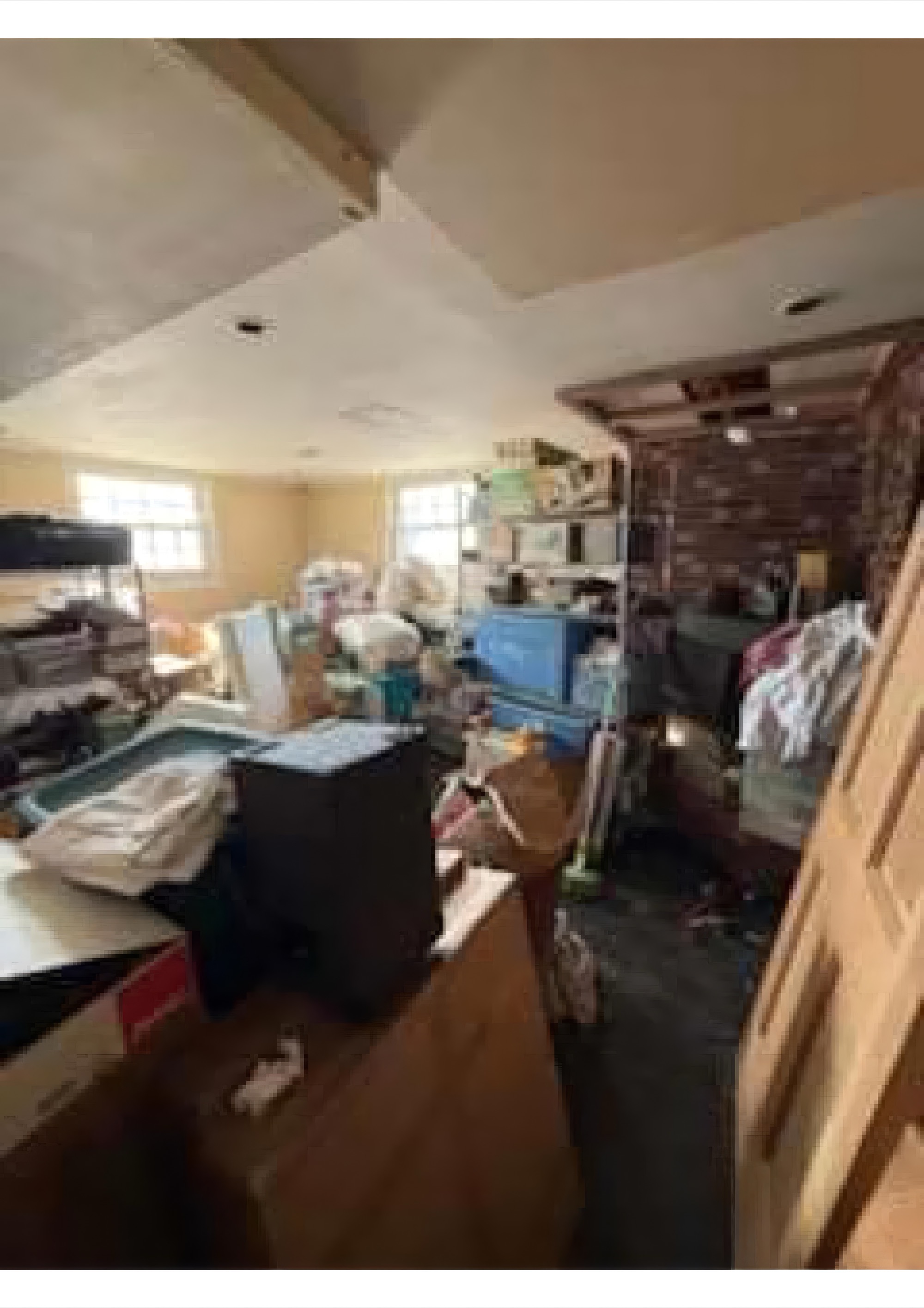 Holly Ave interior